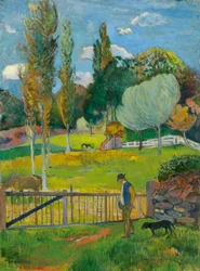 Landscape
